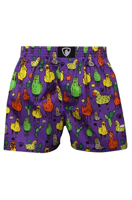 men's boxershorts with woven label EXCLUSIVE ALI - Men's boxer shorts REPRESENT EXCLUSIVE ALI ALPACAS - R1M-BOX-0662S - S