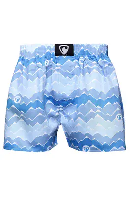 men's boxershorts with woven label EXCLUSIVE ALI - Men's boxer shorts REPRE4SC EXCLUSIVE ALI MOUNTAIN HORIZON - R1M-BOX-0689S - S