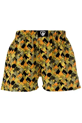 men's boxershorts with woven label EXCLUSIVE ALI - Men's boxer shorts RPSNT EXCLUSIVE ALI MOUNTAIN EVERYWHERE - R2M-BOX-0649S - S