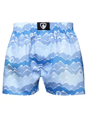 men's boxershorts with woven label EXCLUSIVE ALI - Men's boxer shorts REPRE4SC EXCLUSIVE ALI MOUNTAIN HORIZON - R1M-BOX-0689S - S