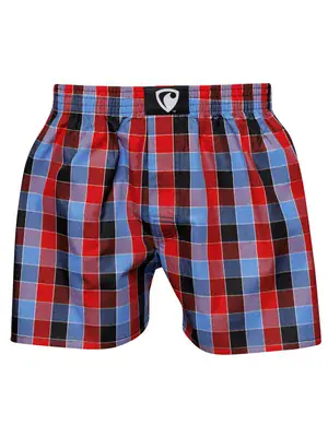 men's boxershorts with woven label CLASSIC ALI - Men's boxer shorts RPSNT CLASSIC ALI 19120 - R9M-BOX-0120S - S