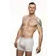 Maloobchod - Boxershorts für Männer REPRE4SC SPORT WHITE - R1M-BOX-0502S - S